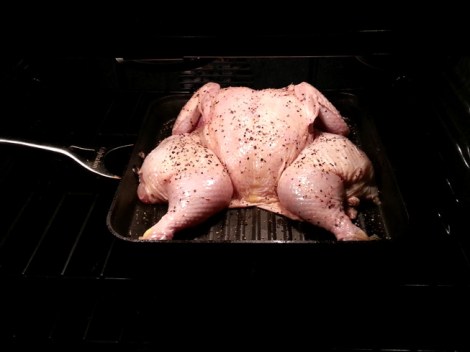 chicken ready for roasting