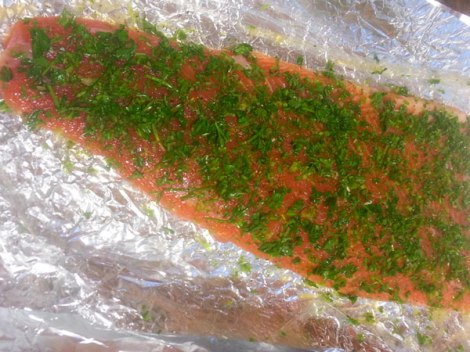 salmon after curing 6 hours