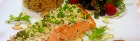 salmon